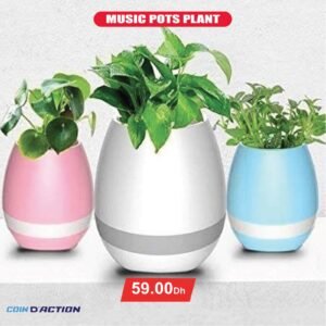 Pots musique